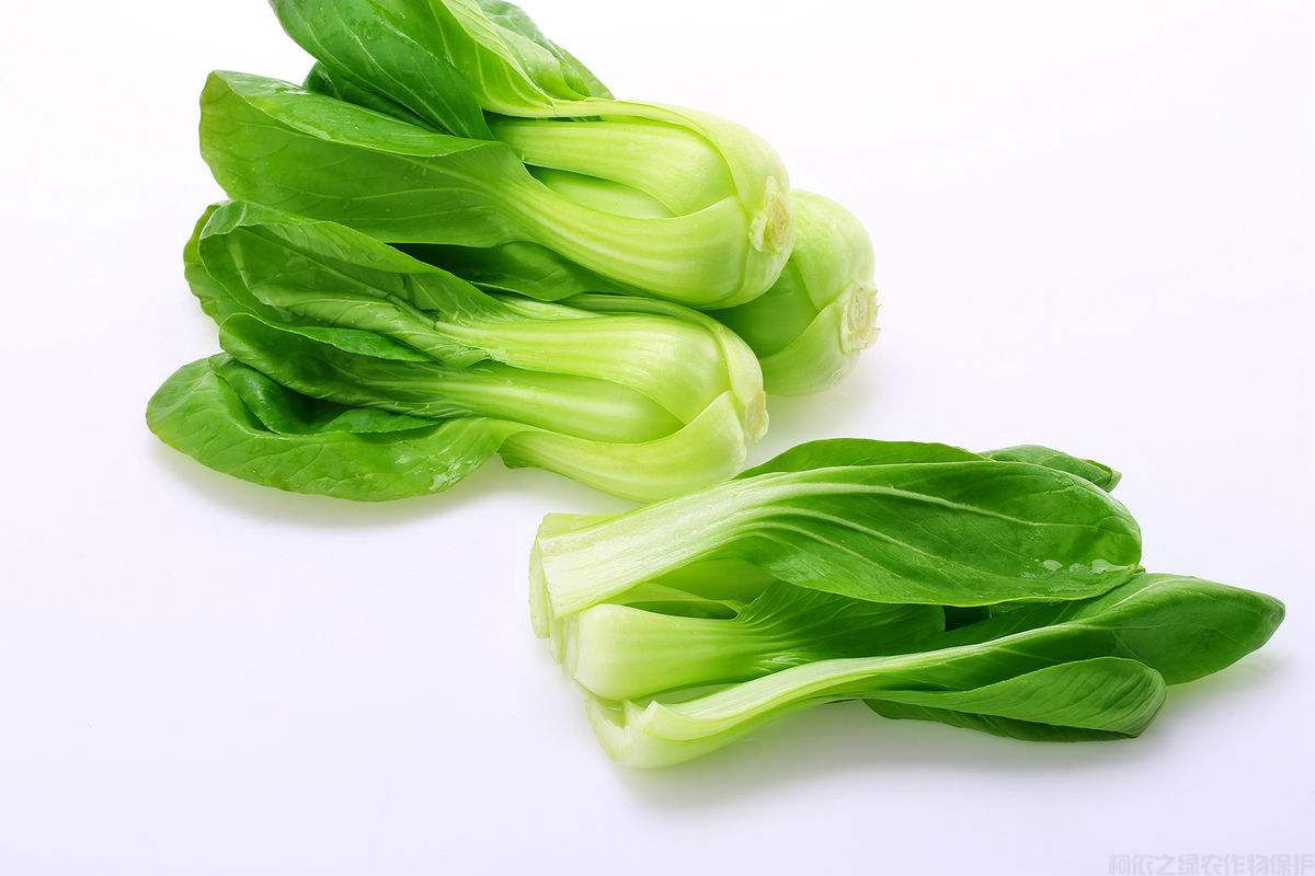 要怎么給油菜施肥才能增產(chǎn)？油菜施肥介紹(圖1)