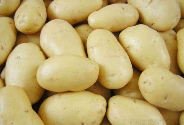 土豆怎么種植高產(chǎn)？土豆種植技巧(圖1)