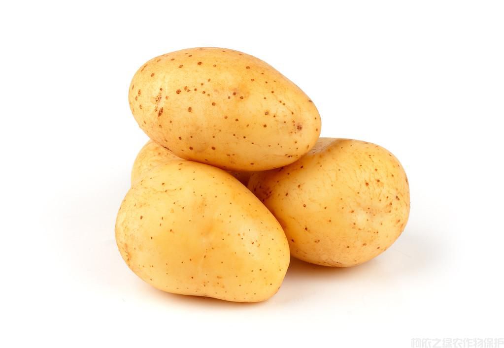 土豆怎么種植高產(chǎn)？土豆種植技巧(圖3)